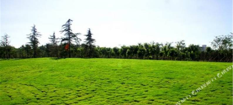 顺泰商务酒店(济南茶叶市场会展中心店)图片