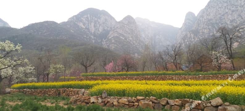 玖居养心小筑(登封少林寺店)图片