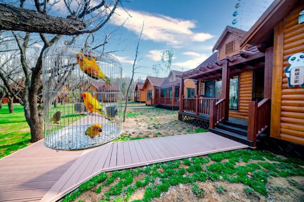 济南野生动物世界动物主题民宿