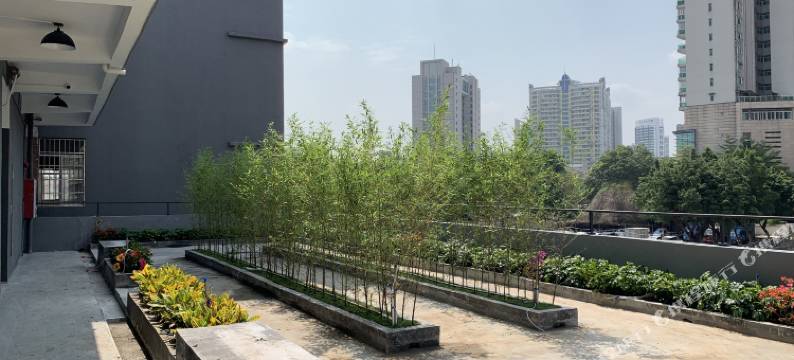 简一酒店(广州琶洲会展海珠万达广场店)图片