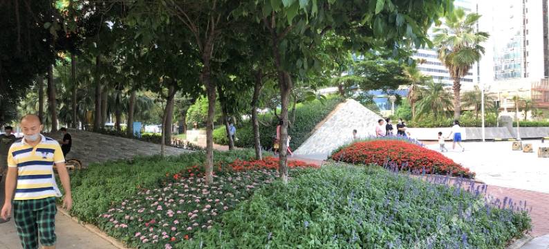 深圳国贸雅轩公寓图片