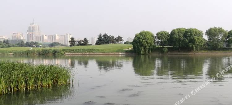 苏州观前街拙政园附近四季如春的高科技住宅公寓(3号店)图片