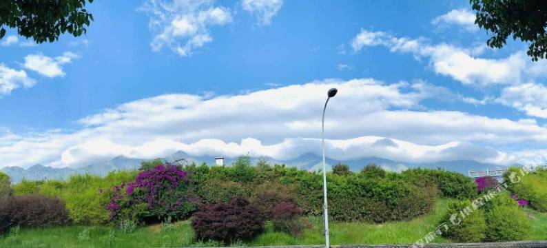 大理古城枕上舒客栈图片