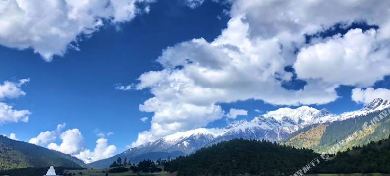 林芝鲁朗祇树莲花民宿图片