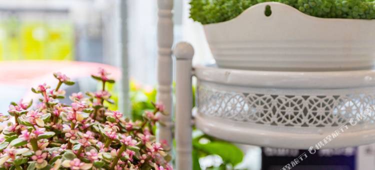 7天优品酒店(北京花园桥地铁站店)图片