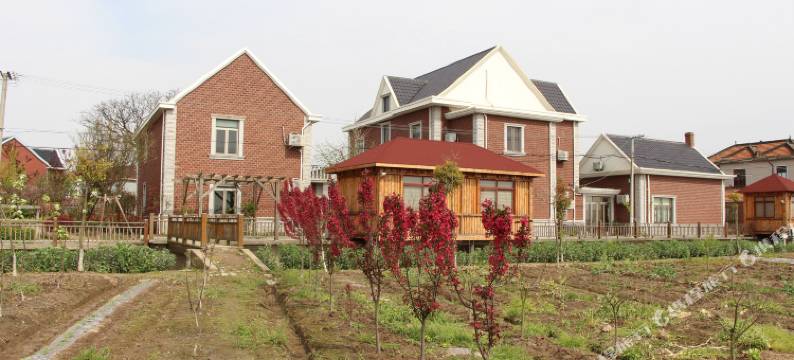 上海民东牧场度假园图片