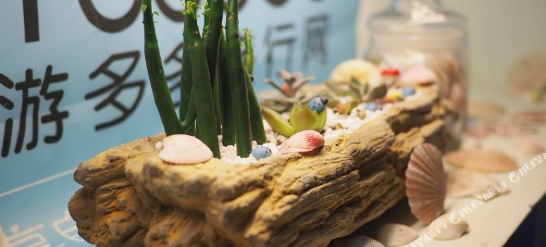 桂林520客栈图片