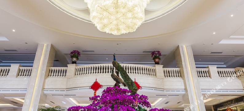 千禧花园酒店图片