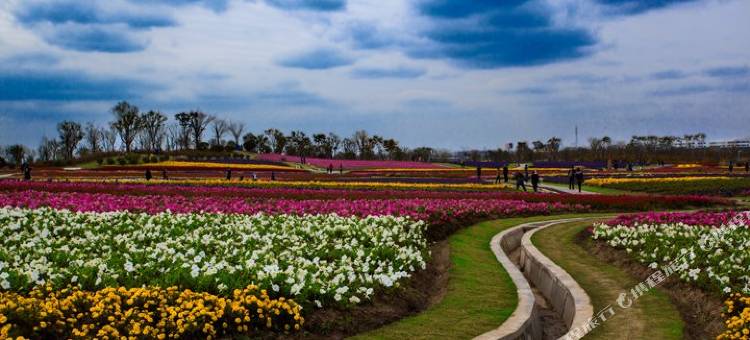 上海迪康亘缘酒店图片