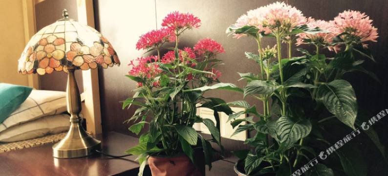 上海北海公寓图片