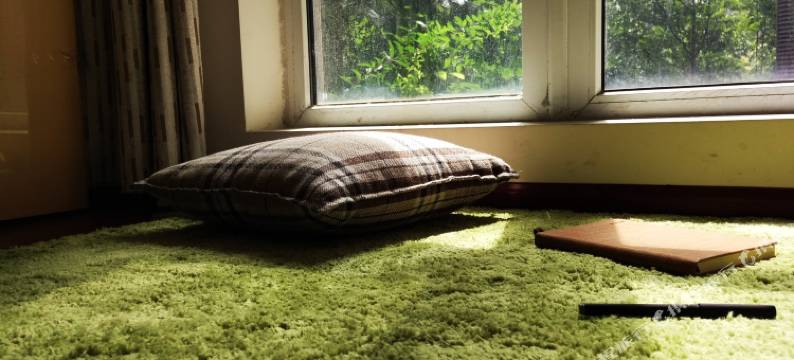 栖下民宿(成都锦里店)图片