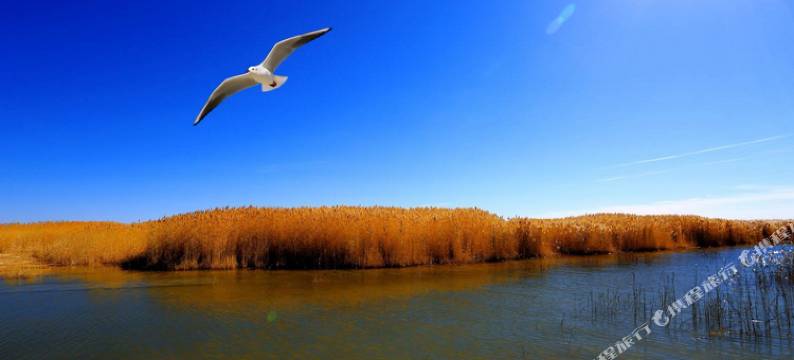 额济纳旗杰隆宾馆图片