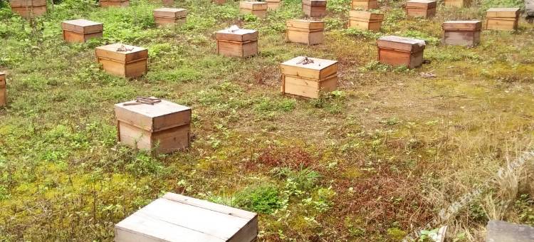 浏阳大围山客家农庄图片