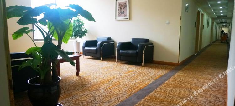 速8酒店(上海洞泾欢乐谷洞业路店)图片