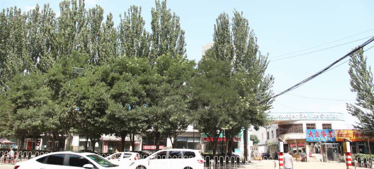 大同格调时尚酒店图片