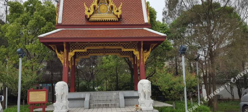 普陀山佛心民食客栈图片