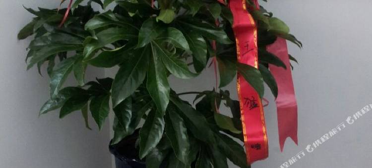 鸡西英利快捷宾馆图片