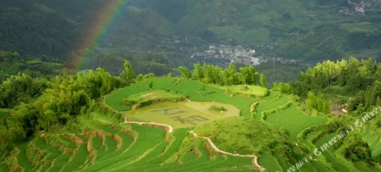 云和梯田蛰居甲虫旅店图片