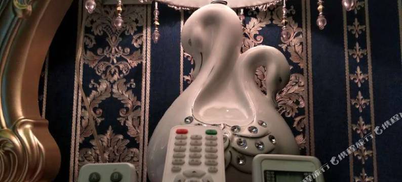 社旗皇室国际公馆图片