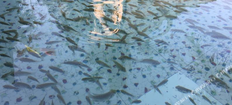 筠连天河温泉酒店图片