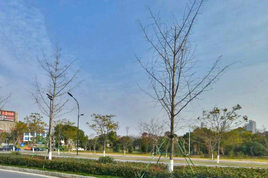 Royal Palace Hotel Over view