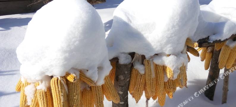 海林大潘客栈图片
