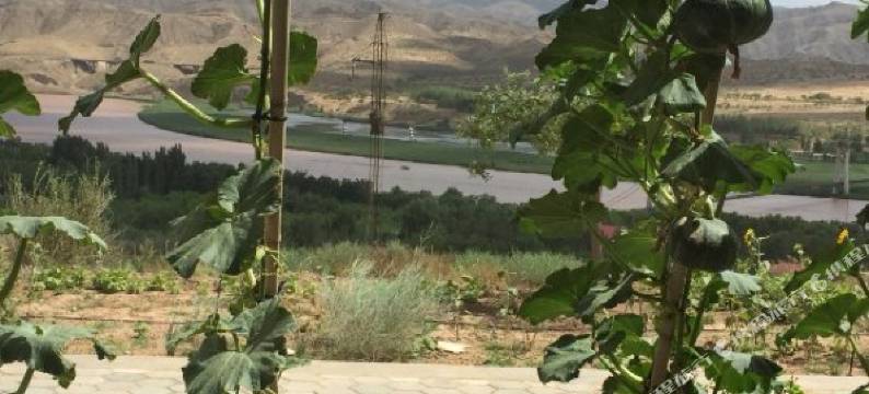 中卫沙观生态园图片