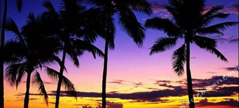 三亚泰佳酒店图片