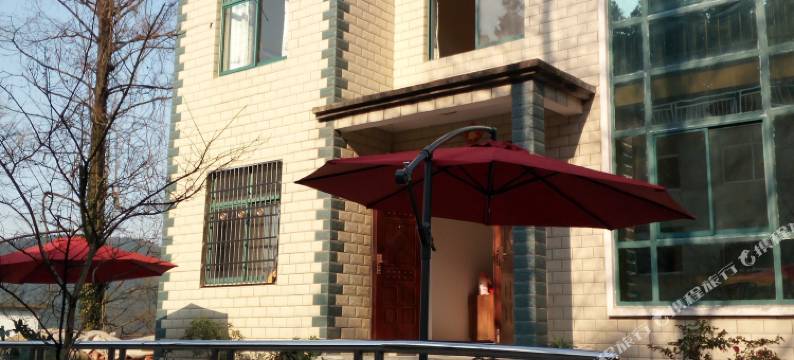 九江紫藤萝青年旅社图片