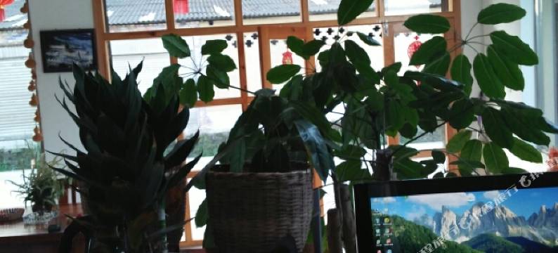 元阳山外青山客栈图片