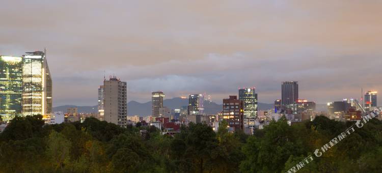 墨西哥城卡里埃斯坎顿酒店(Kali Escandón Mexico City)图片