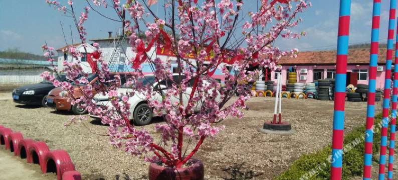 丹东桃花源生态园图片