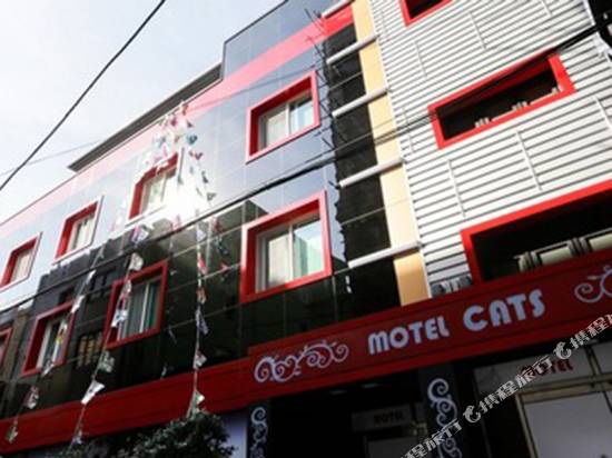 釜山貓咪酒店(臼砲店)