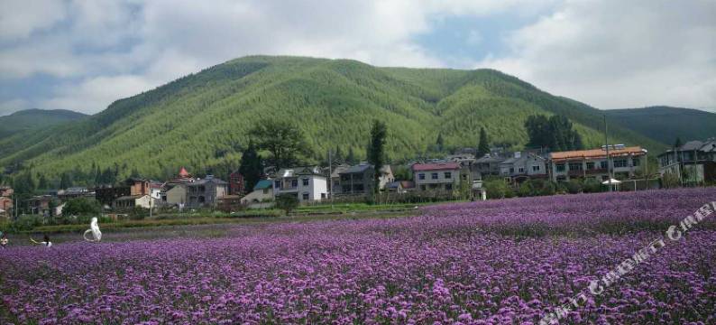 莫干山天浩民宿图片