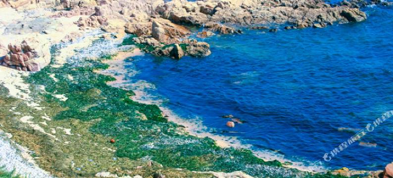 北戴河爱尚海民宿(老虎石海上公园店)图片