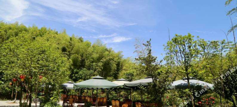 蜀南竹海竹仙酒店图片