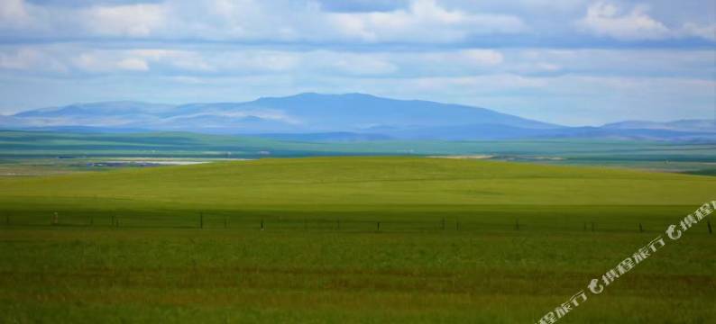 呼伦贝尔森鹿宾馆图片