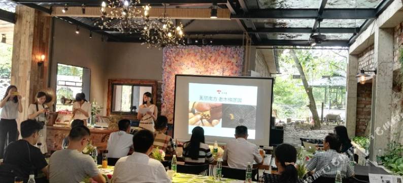 老木棉艺术客栈图片