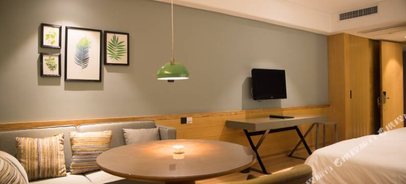 宜临国际大酒店(合肥桐城路店)图片