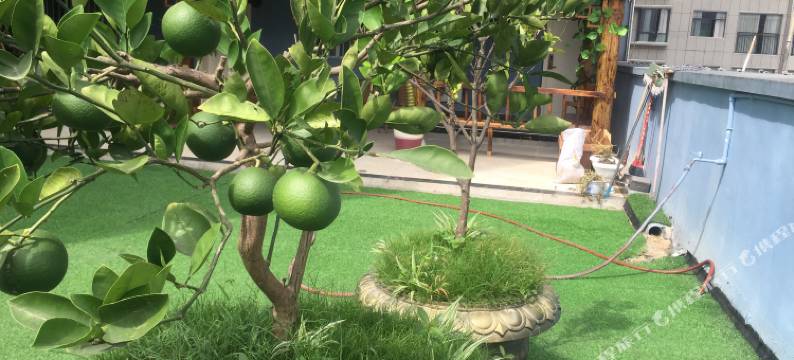 凤冈舒雅文化公寓图片