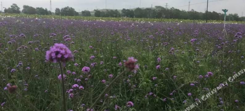 忆家快捷宾馆(沽源新车站店)图片