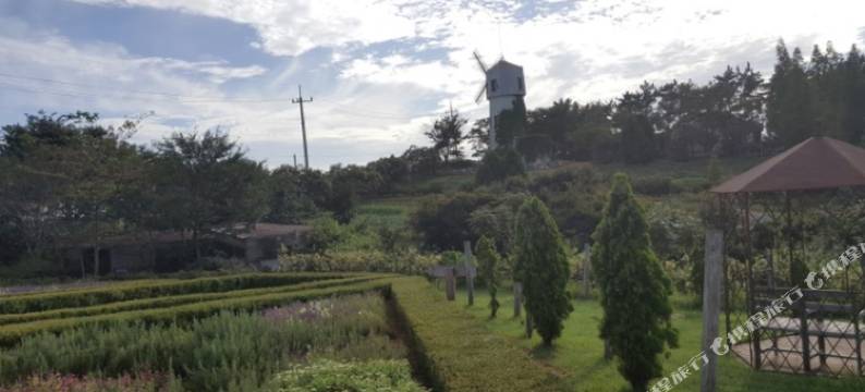 泰安郡小王子度假屋(Little Prince Pension Taean)图片