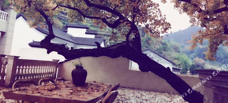 永嘉红枫缘民宿图片