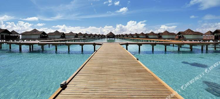 马尔代夫罗宾逊 - 限成人- 全包式(Robinson Maldives - All Inclusive, Adults Only)图片
