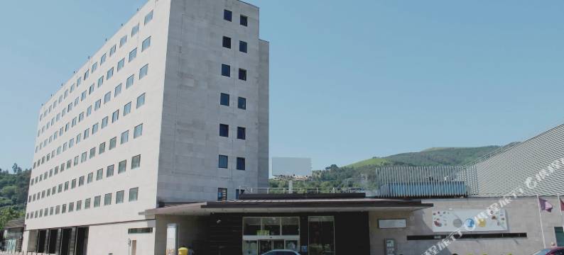 毕尔巴鄂广场酒店(Hotel Puerta de Bilbao)图片