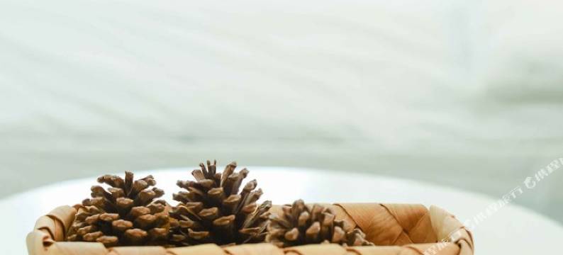 柳州厦门等等文艺民宿(体育路南分店)图片