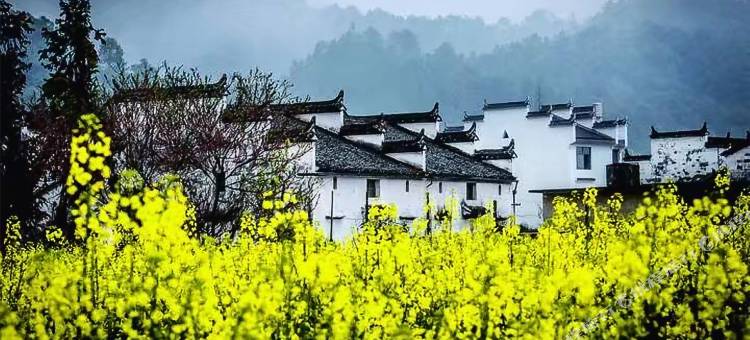 婺源徽乡别院图片