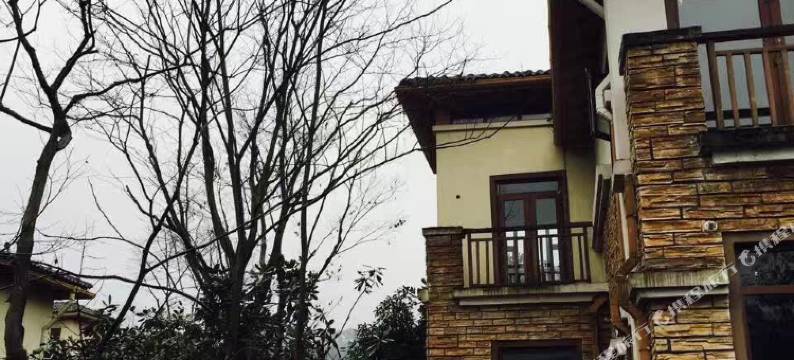 大邑王山雨雪霏扉别墅图片