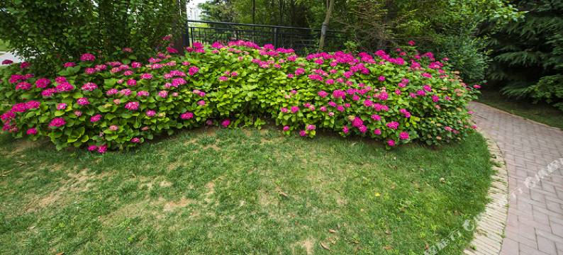 青岛海蓝云舍公寓图片