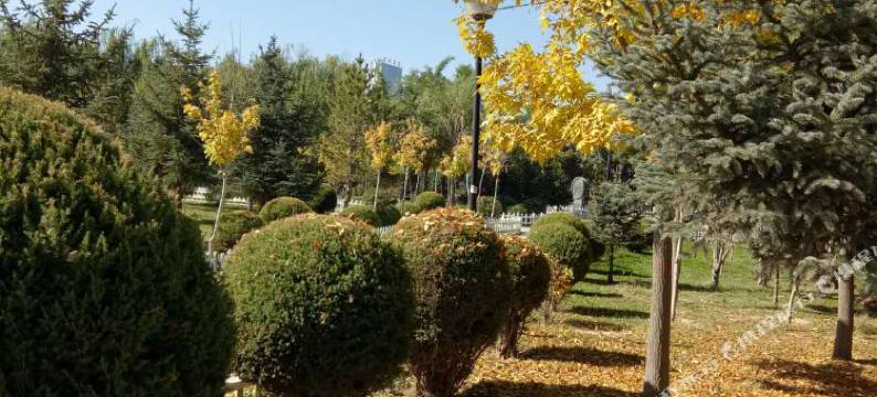 固原玉霞宾馆图片